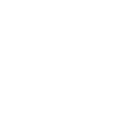 dry fly logo
